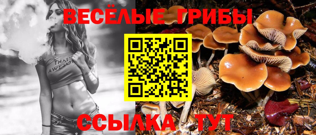 Галлюциногенные грибы прущие грибы  Псилоцибиновые грибы Cubensis  Вход с VPN  Владимир 